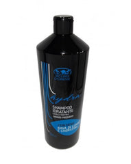Shampoo Ricordi d'oriente capelli trattati, lavaggi frequenti . 1 lt