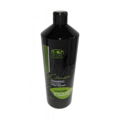 Shampoo Ricordi d'oriente capelli grassi ,lavaggi frequenti . 1lt